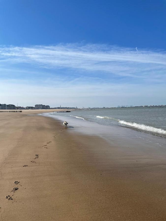 Hotel De Backer Knokke-Heist Exteriör bild